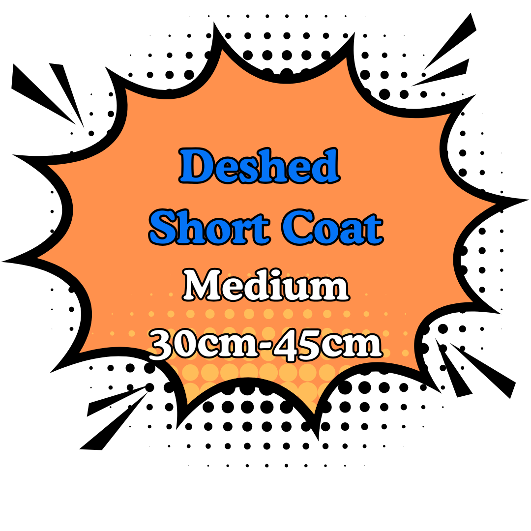 Deshed Short Coat 2.Medium (30cm-45cm)