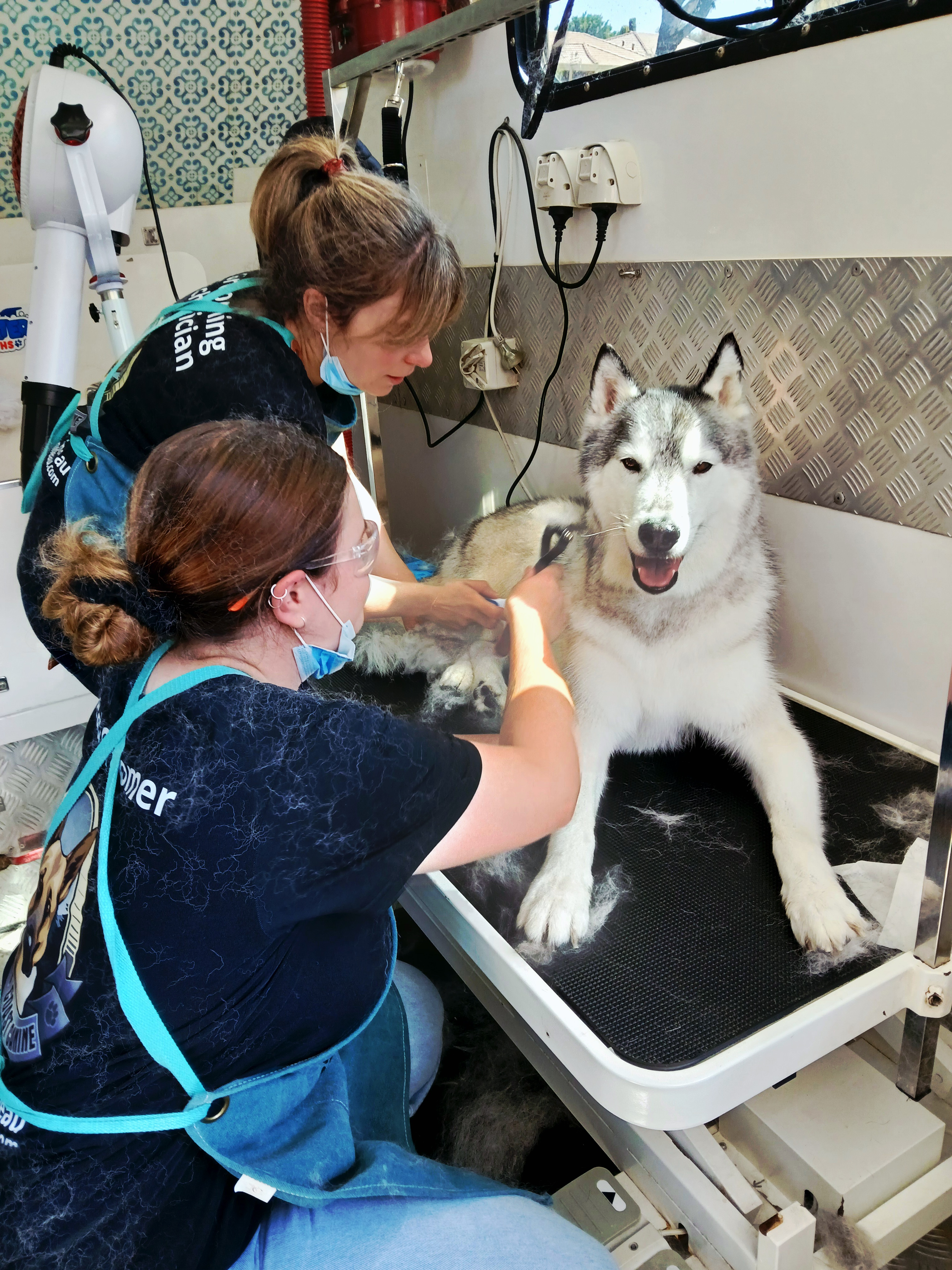 De-Shedding -Smooth/Short Coat - Small (under 9kg)