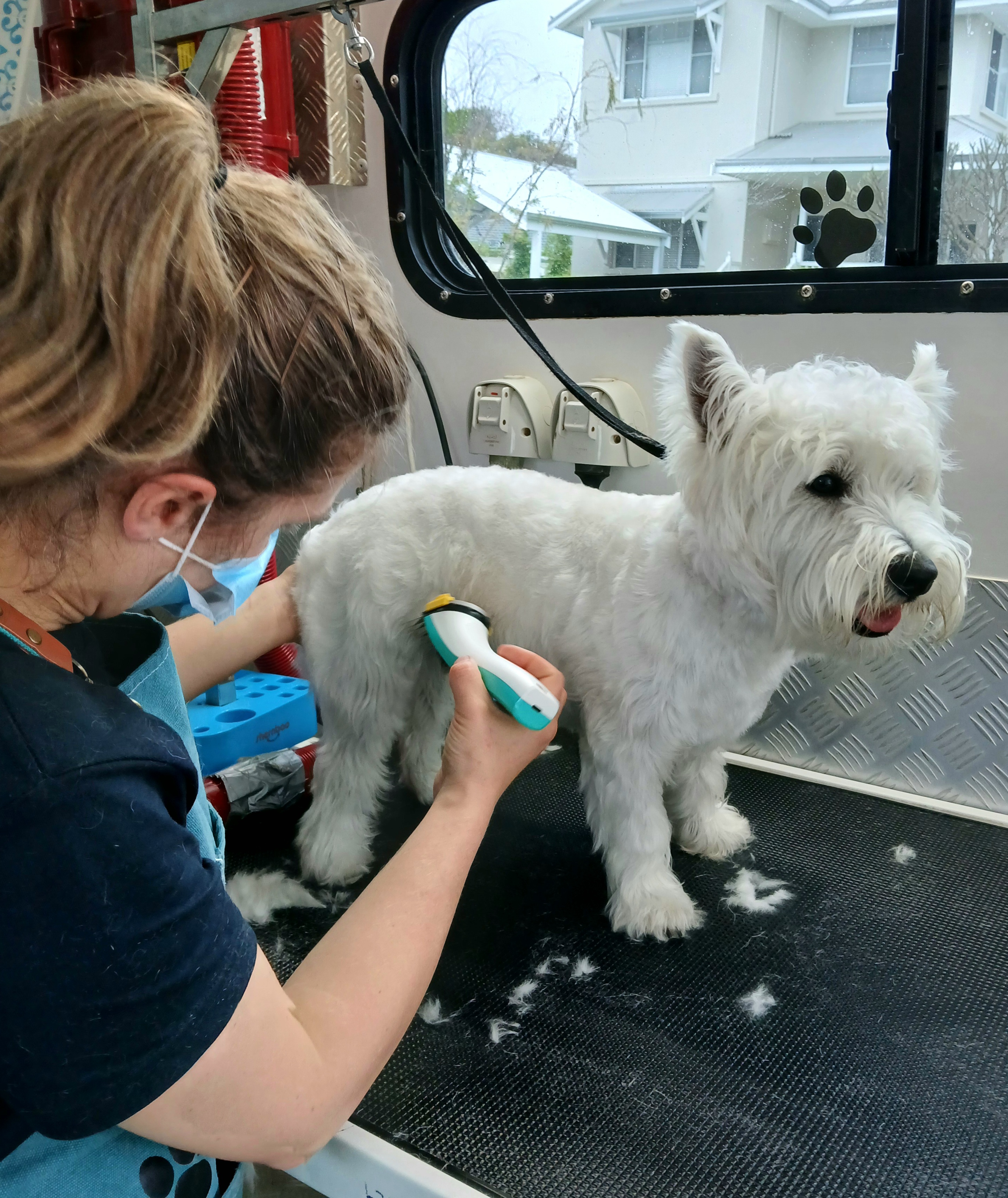 Full Groom - Smooth/Short Coat - Small (under 9kg)