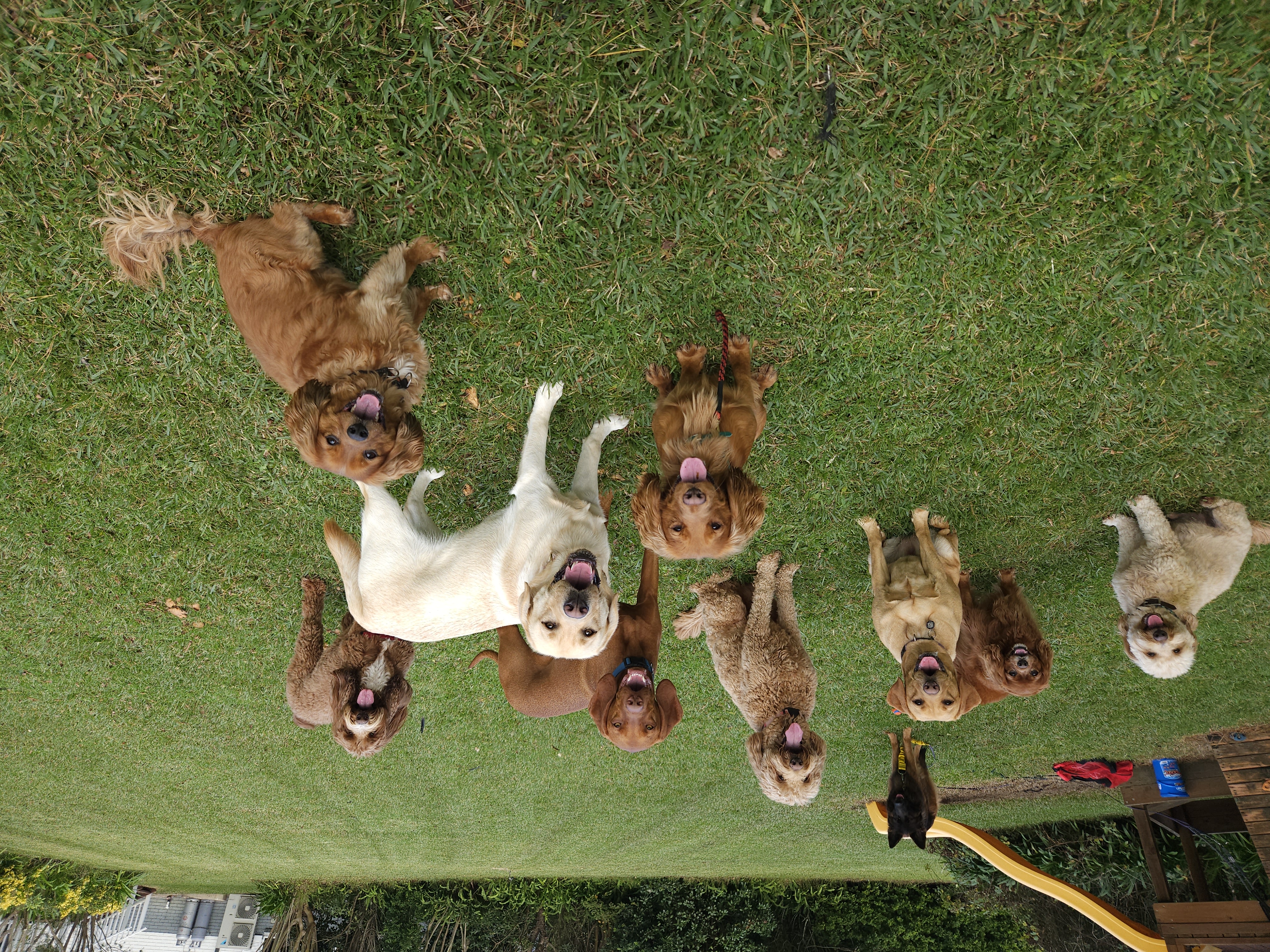 Private Park Outing (2.5hrs)
