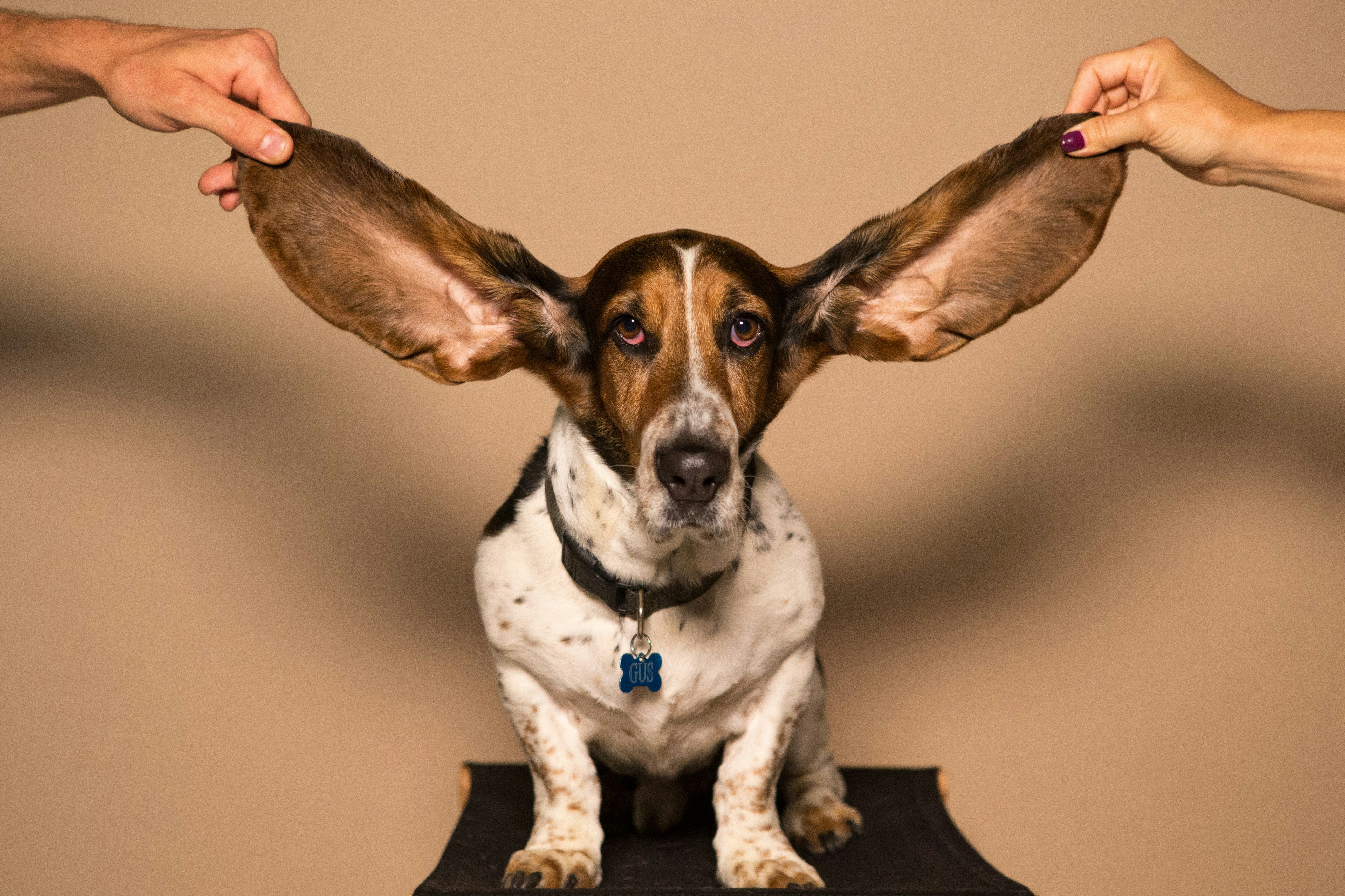 Ear Clean