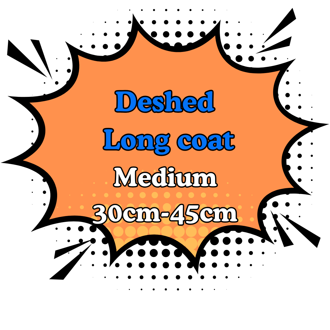 Deshed Long Coat 2.Medium (30cm-45cm)