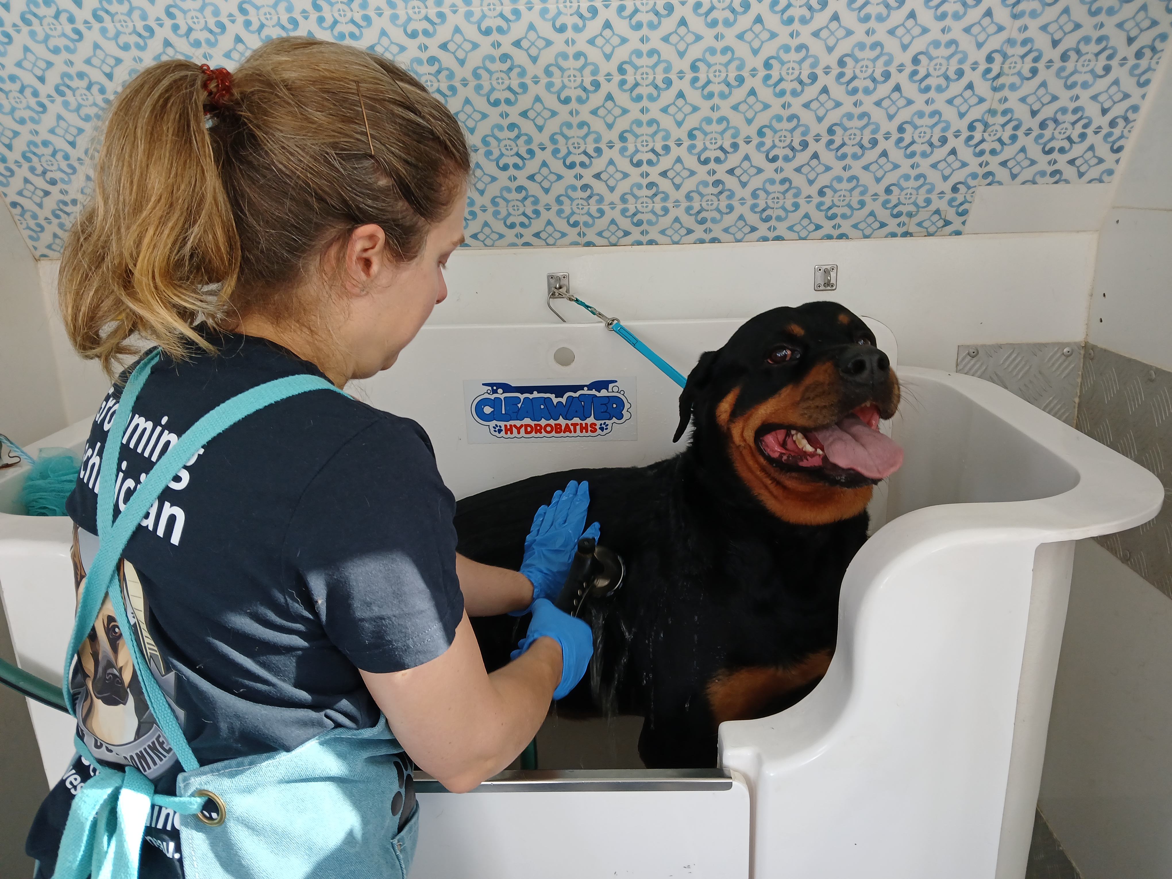Bath & Tidy - Smooth/Short Coat - Small (under 9kg)