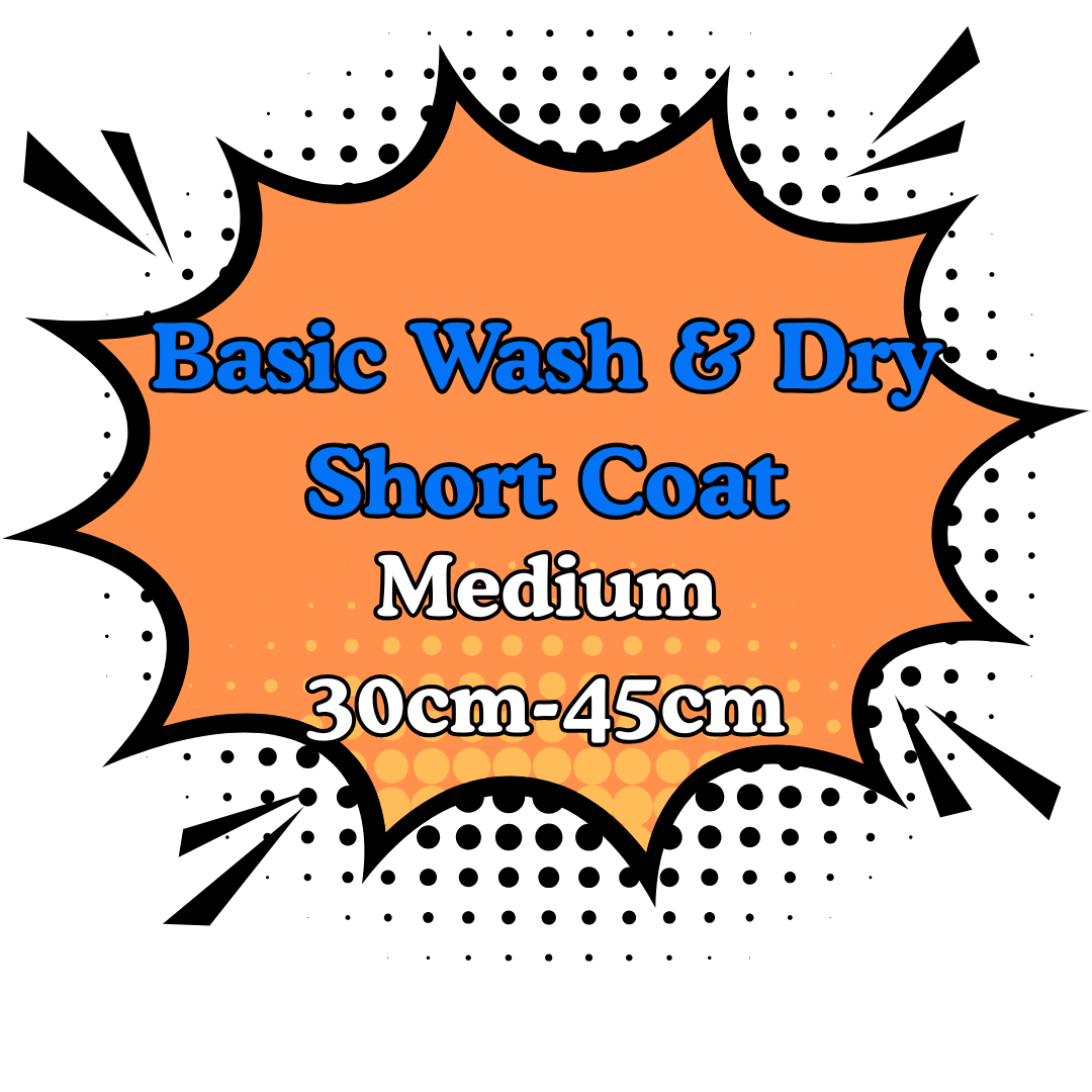 Basic Wash & Dry Short Coat 2.Medium (30cm-45cm)