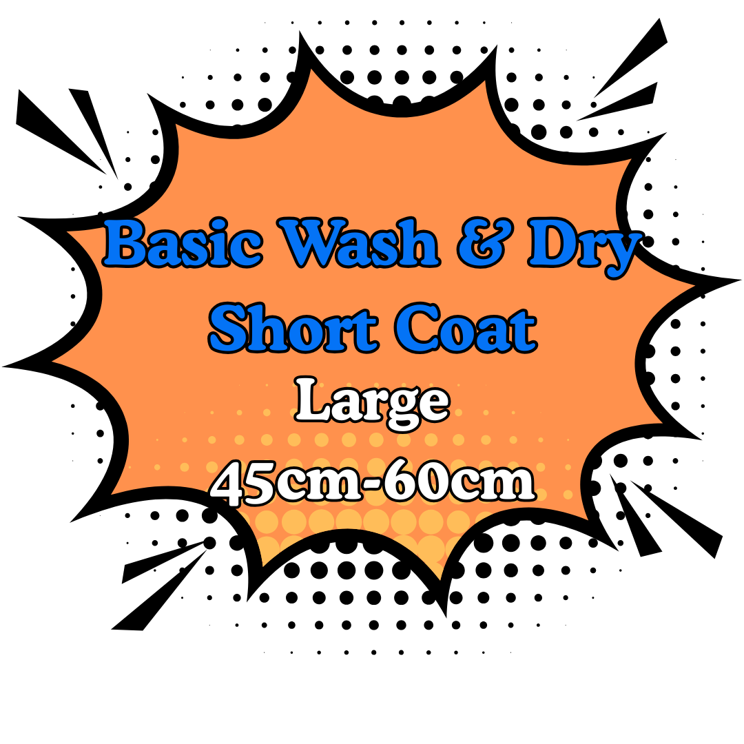 Basic Wash & Dry Short Coat 3.Large (45cm-60cm)