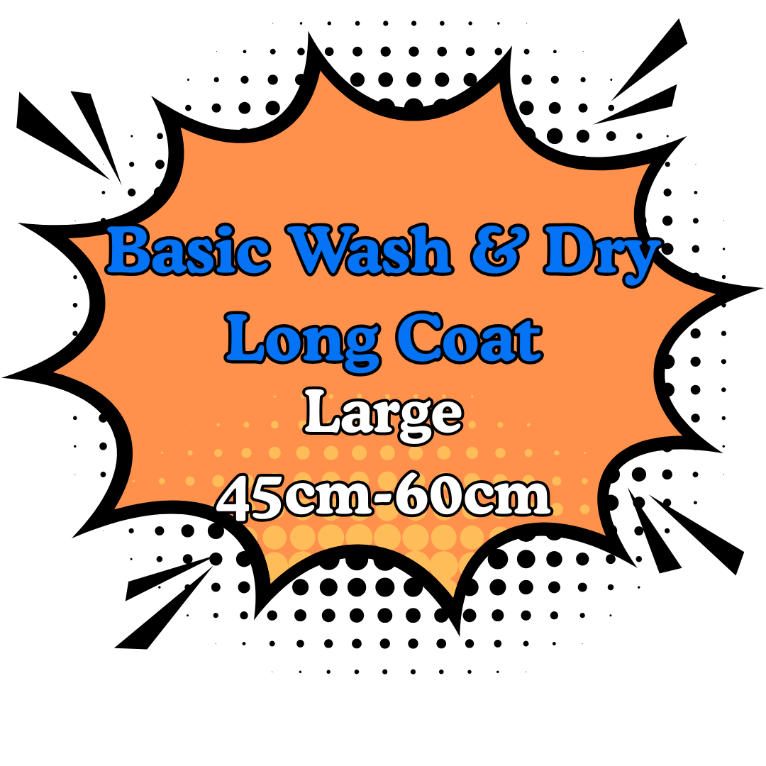 Basic Wash & Dry Long Coat 3.Large (45cm-60cm)