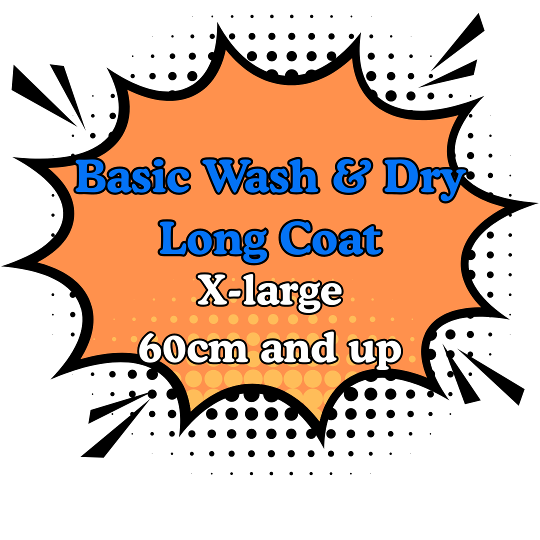 Basic Wash & Dry Long Coat 4.Xlarge (60cm and Up)