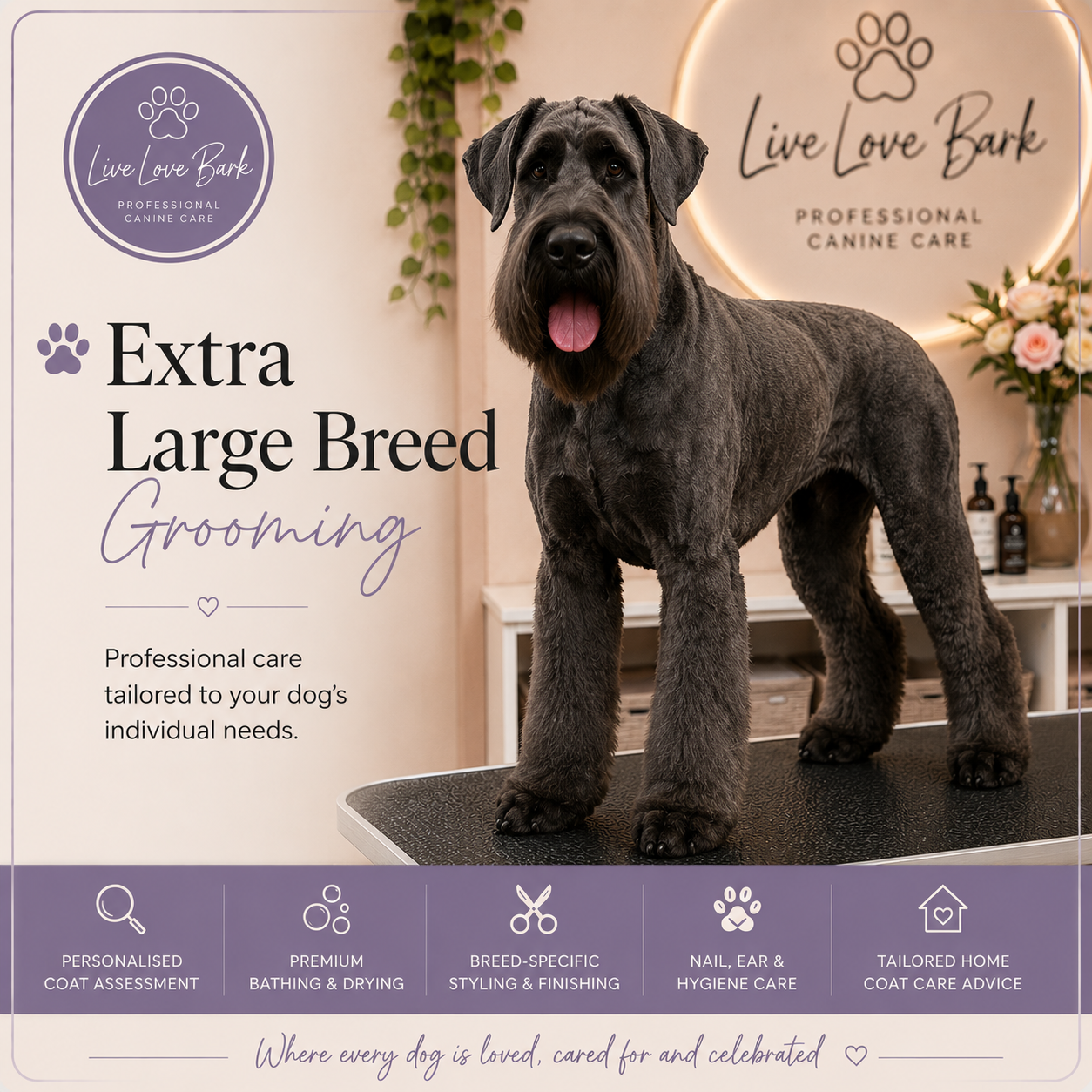 🐶 Extra Large Breed Grooming