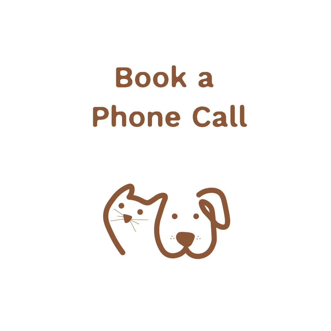 Posh Paws Gold Coast pet services