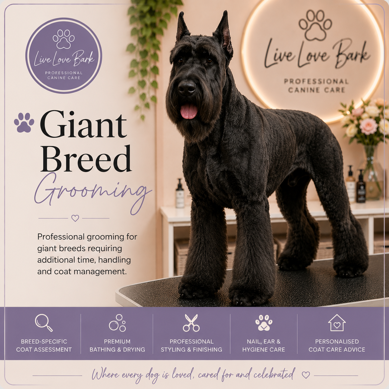 🐶 Giant Breed Grooming