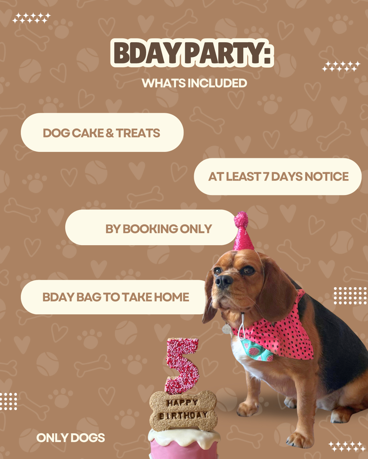 Zina’s Pet Patrol pet services