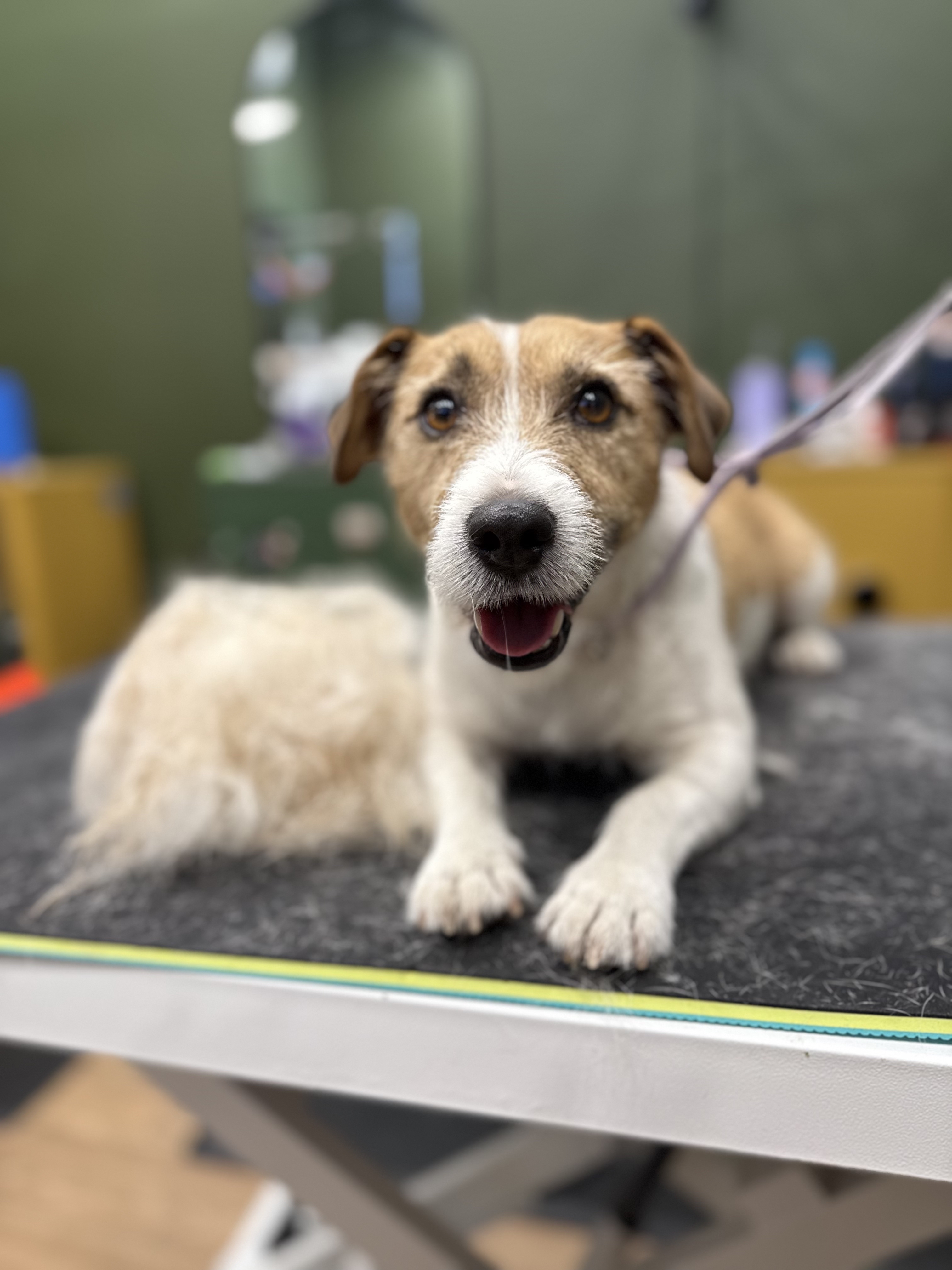 Hand Stripping (Time Based)