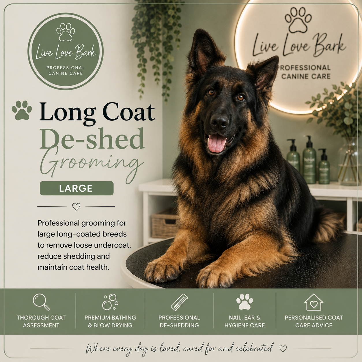 🐺 Long Coat De-shed Grooming (Large)