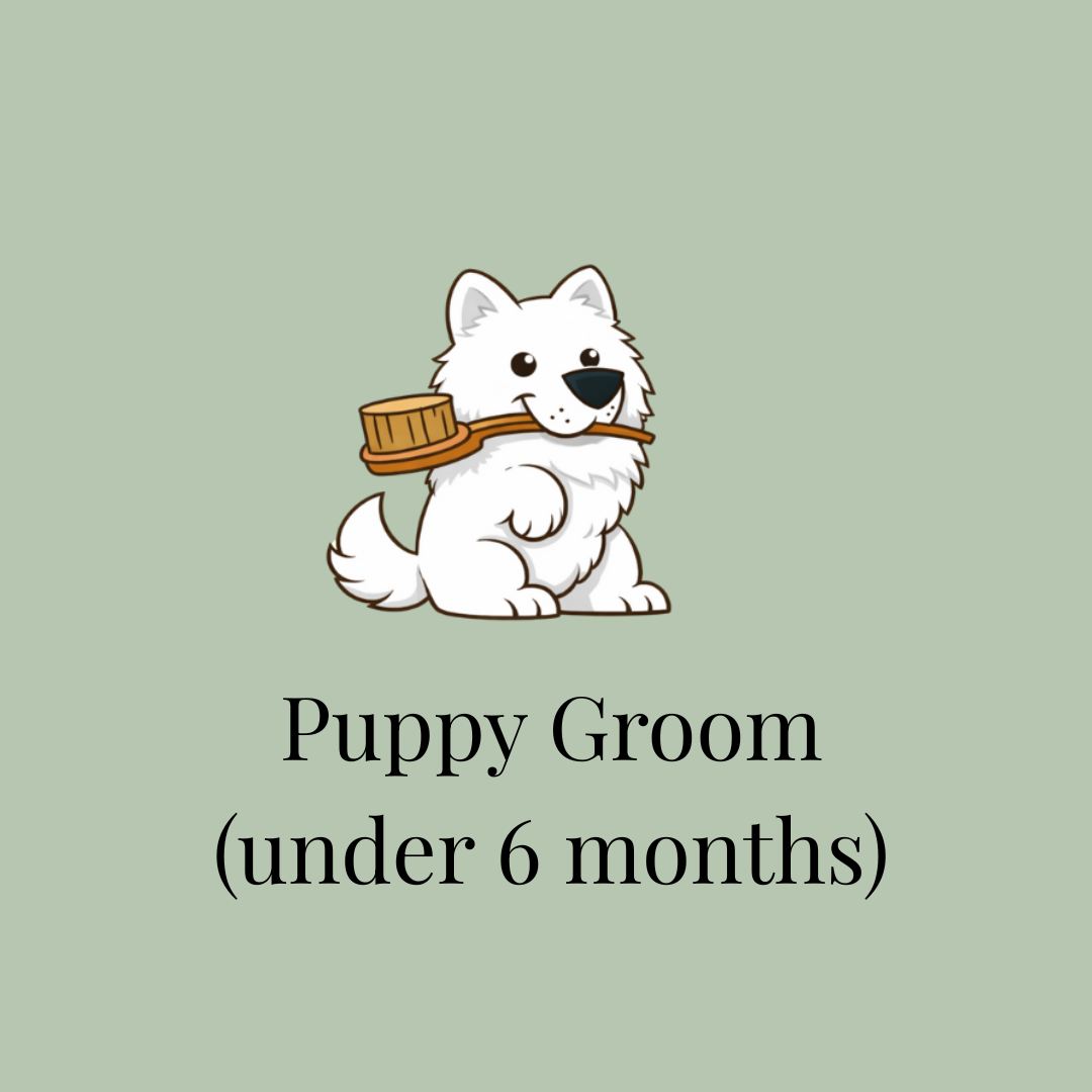 Puppy Groom