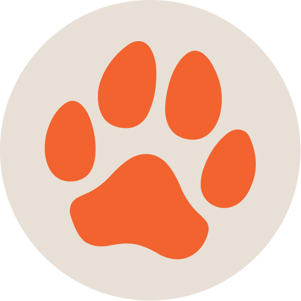 Westside Paws pet services