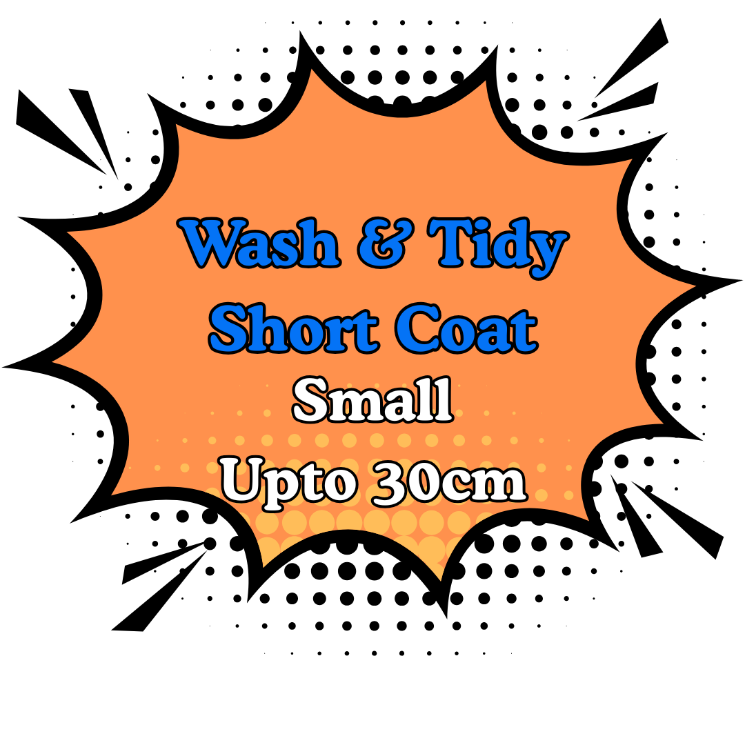 Wash & Tidy Short 1.Small (under 30cm) (Copy)