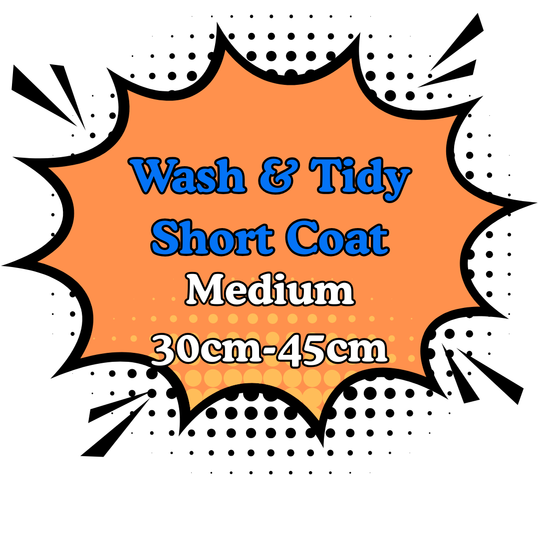 Wash & Tidy Short 2.Medium (30cm-45cm) (Copy)