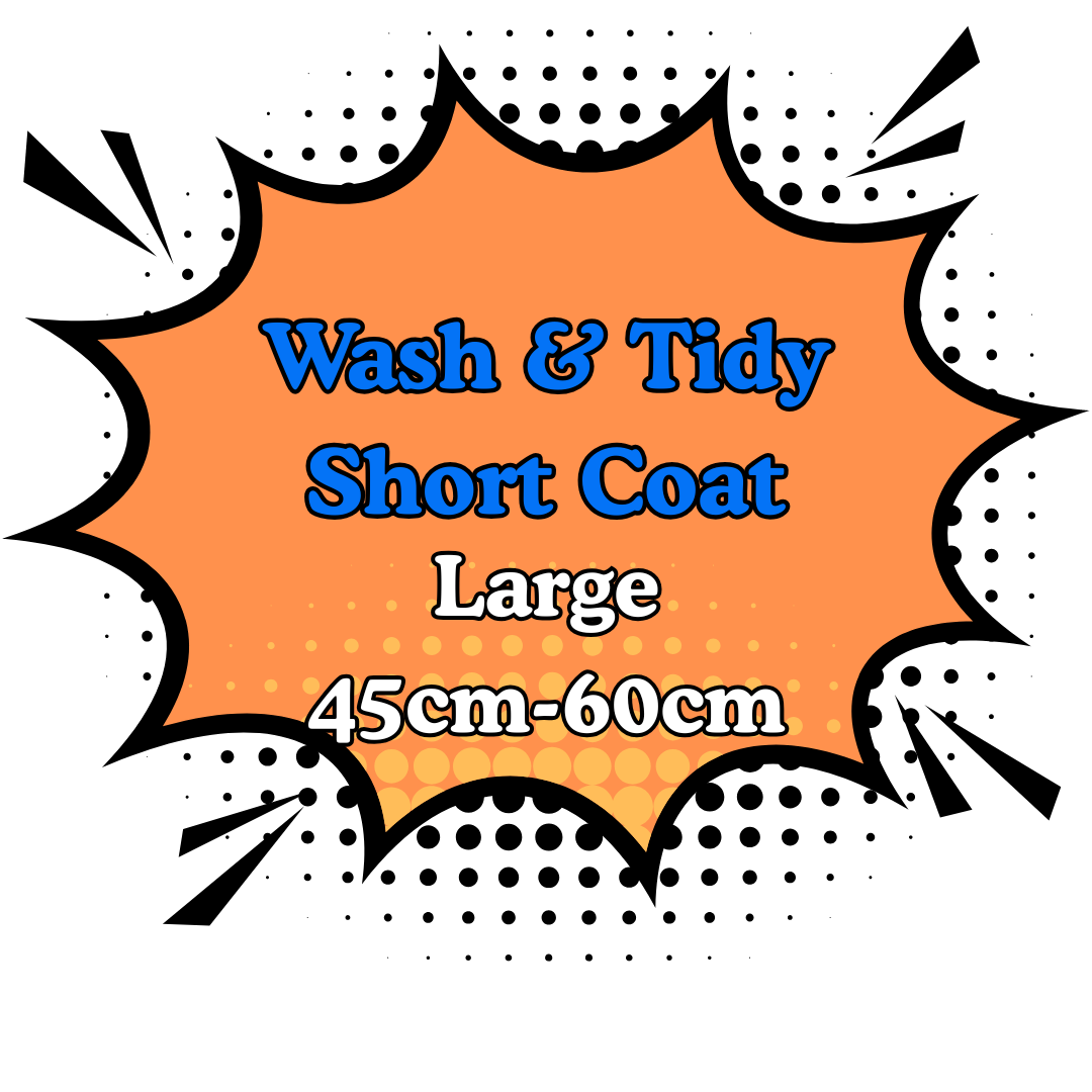 Wash & Tidy Short 3.Large (45cm-60cm) (Copy)