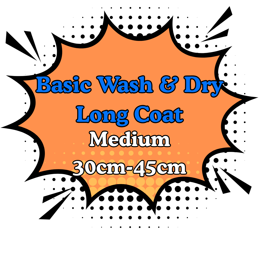 Basic Wash & Dry Long Coat 2.Medium (30cm to 45cm)
