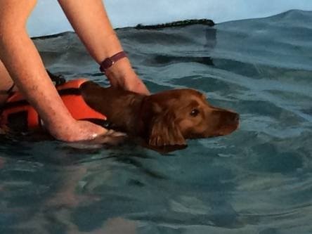 Water Confidence: 30 Min