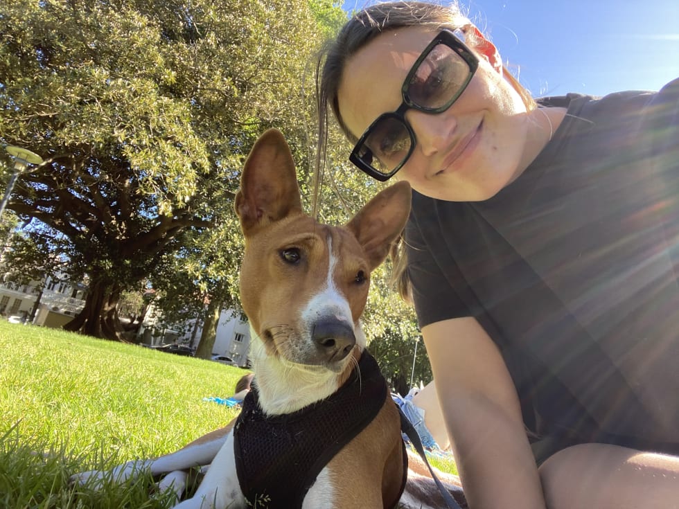 Sandy Paws Dog Walking pet services