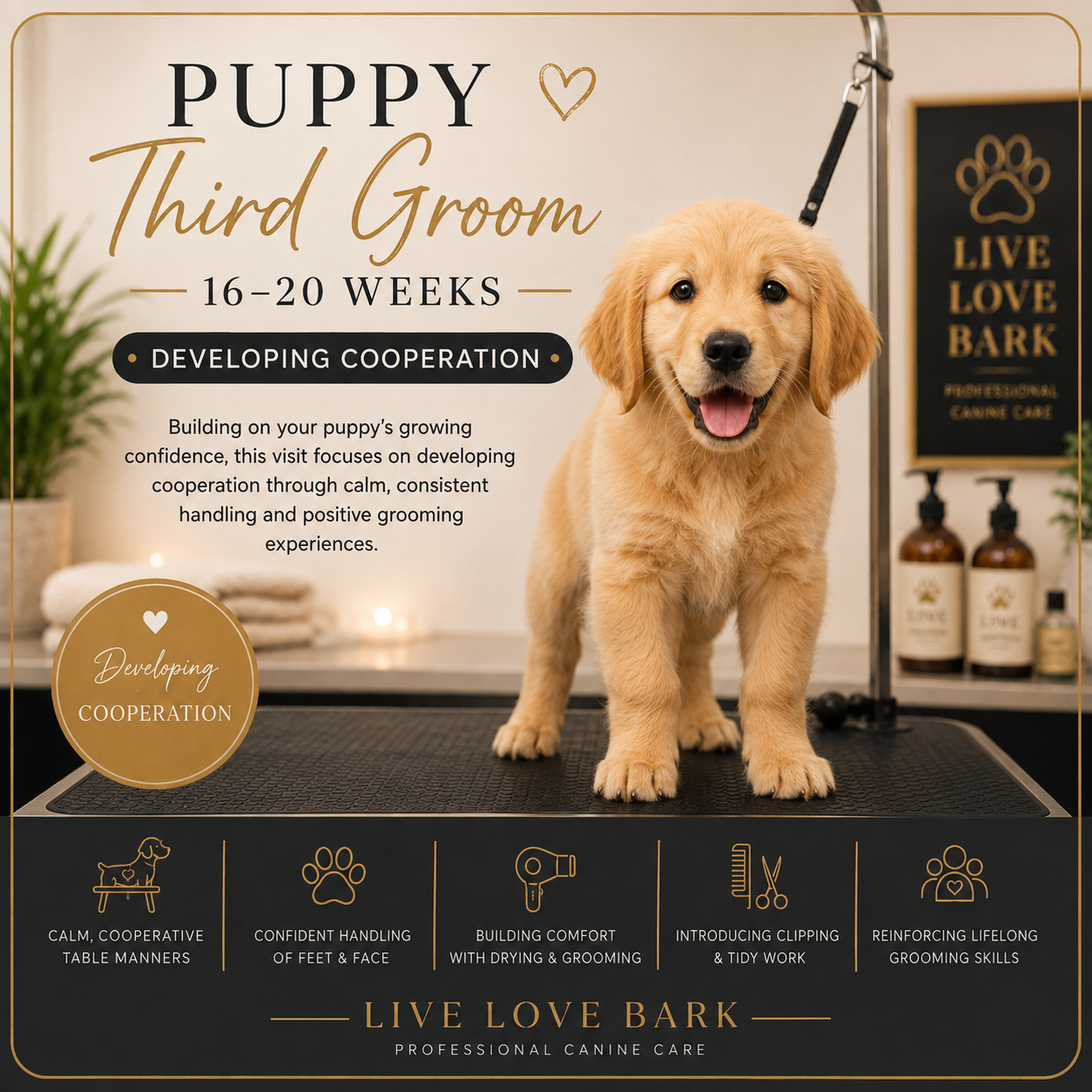 🐾 Puppy Third Groom • 16–20 Weeks – Developing Cooperation
