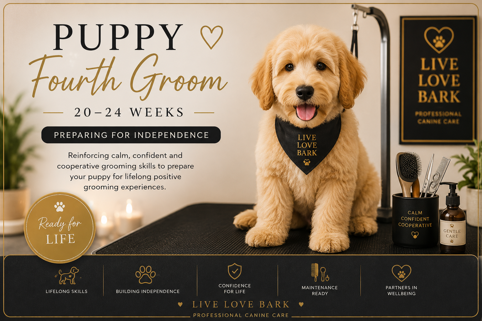 🐾 Puppy Fourth Groom • 20-24 Weeks - Preparing for Independence