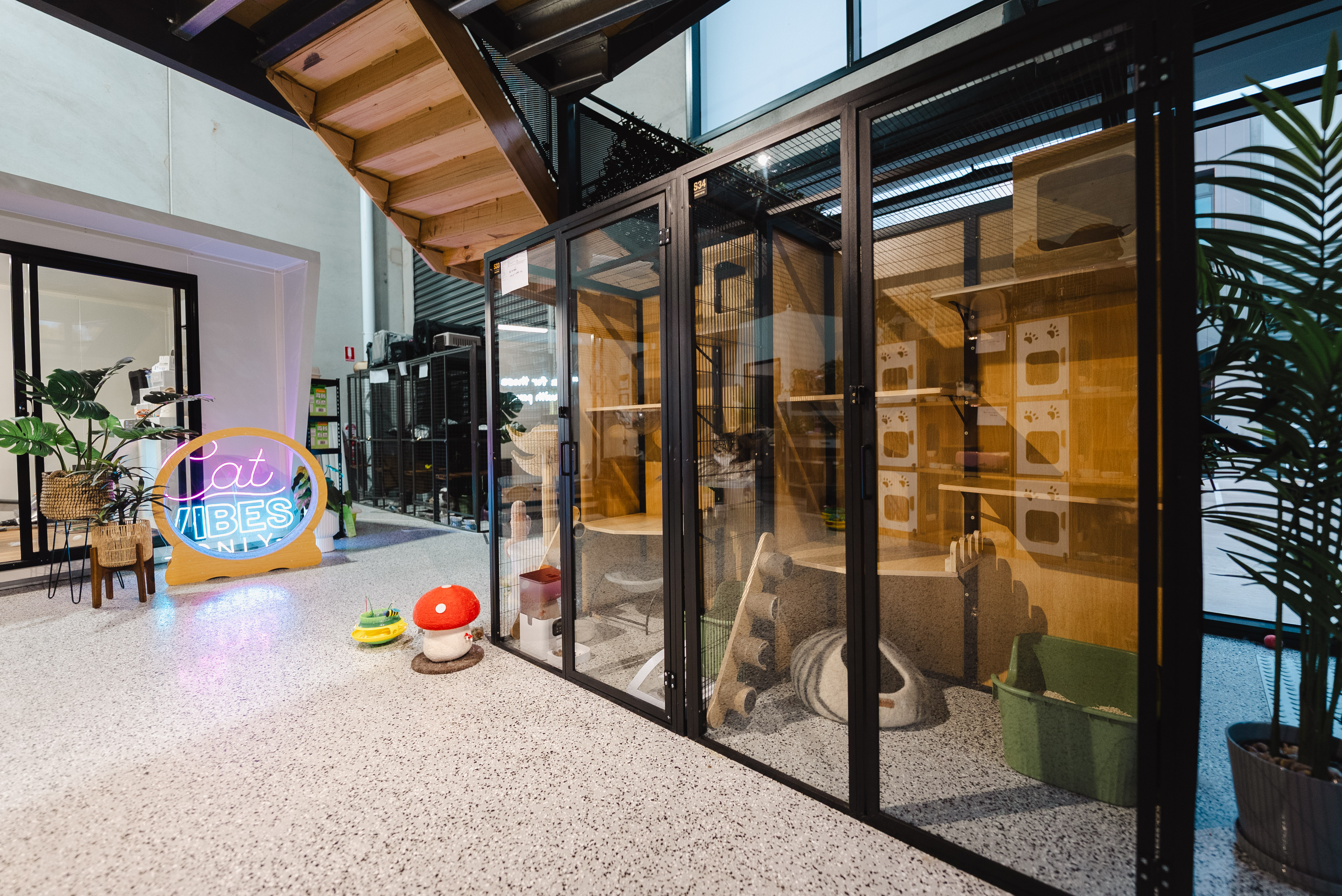 XMMO Cat Hotel & Spa pet services