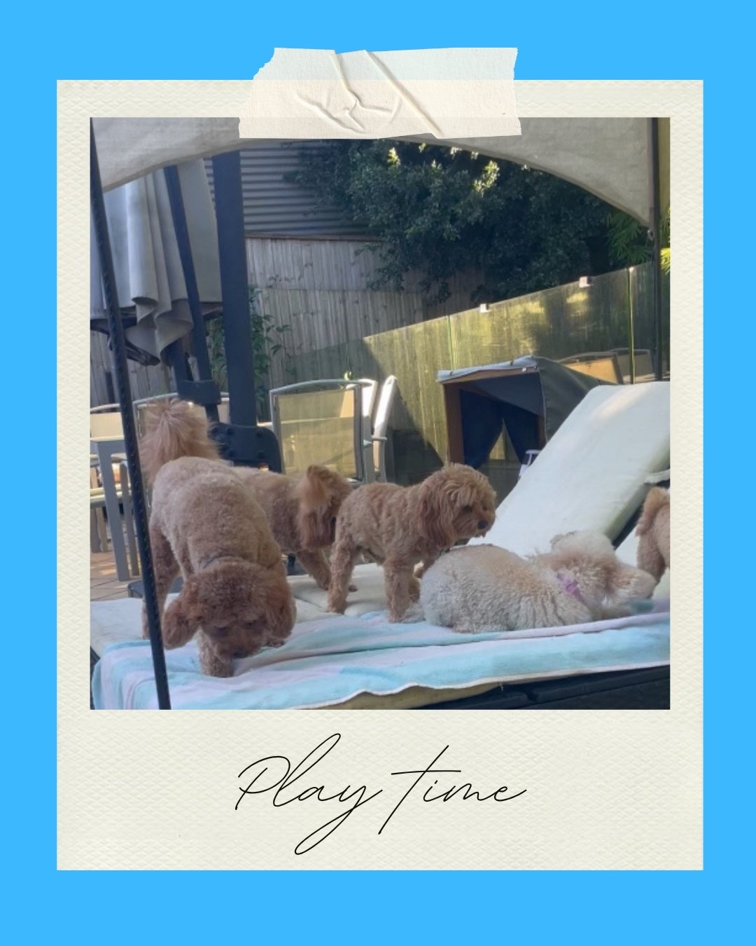 Daycare: One-off