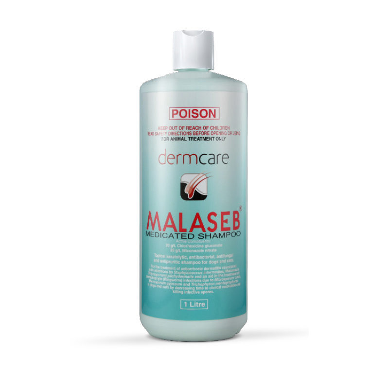 The Grooming Edge pet services