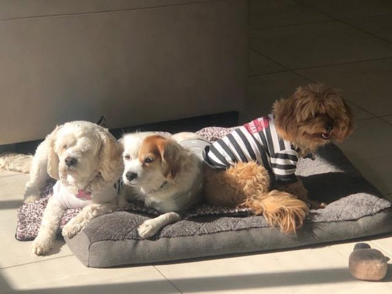 Home Overnight Stay (Easter & Christmas Periods)