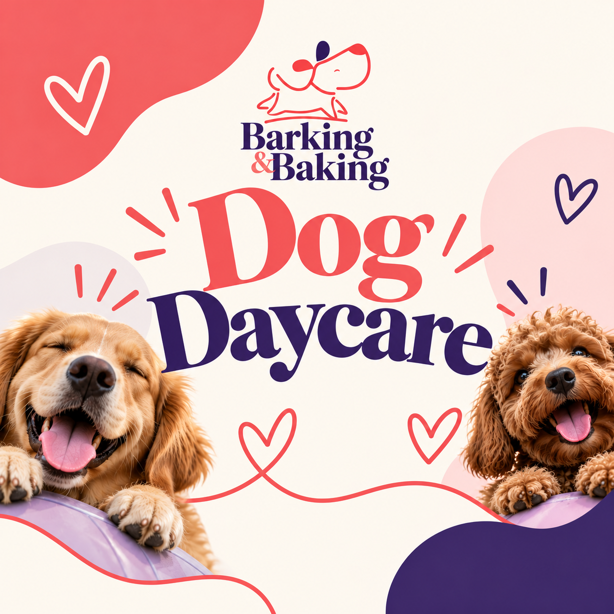 Dog DayCare