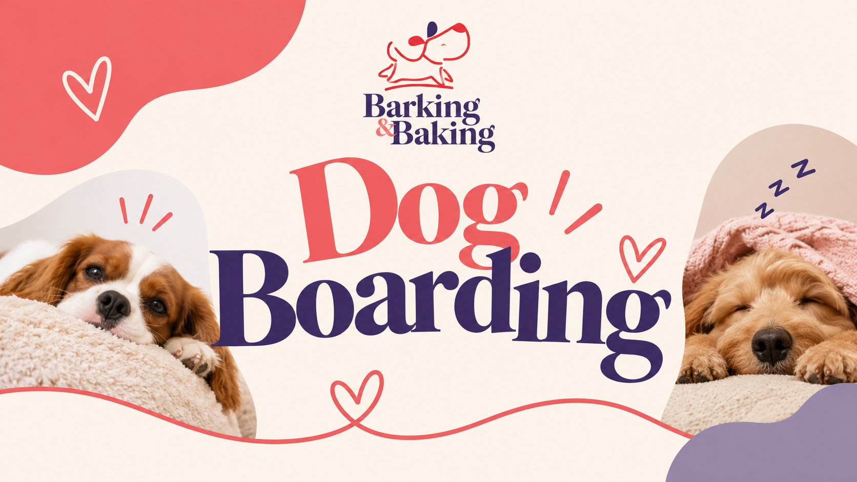 Dog Boarding