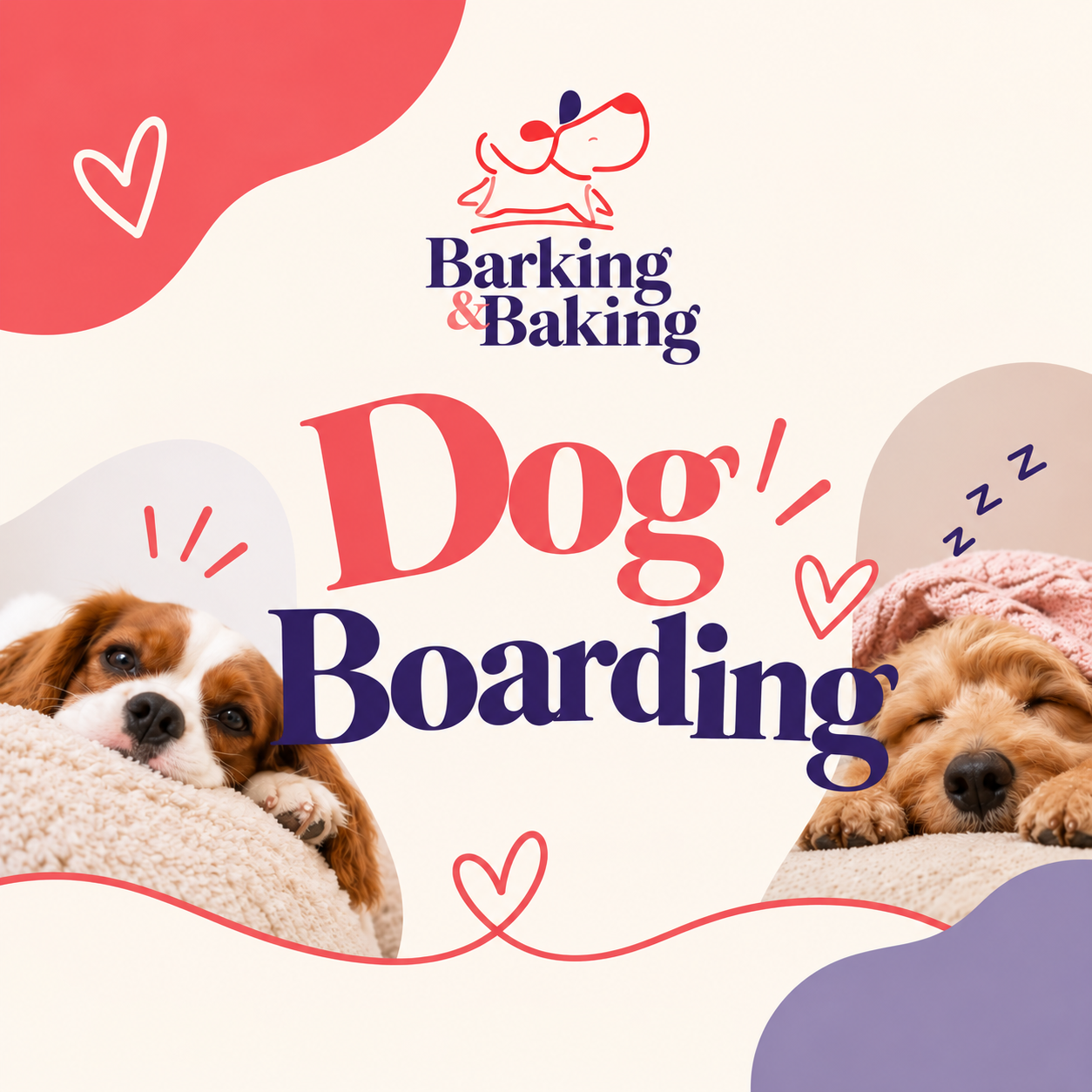 Dog Boarding
