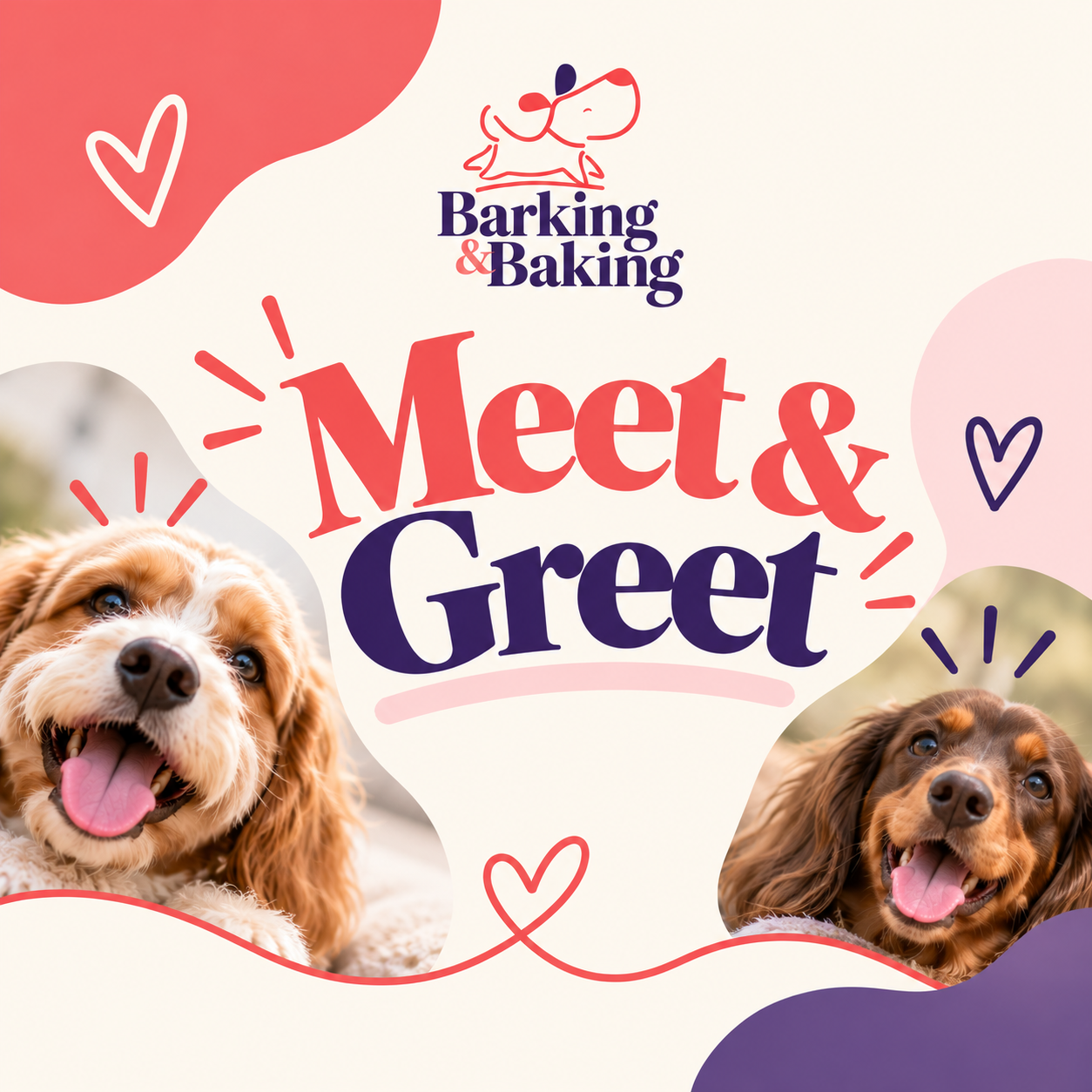 Meet & Greet for DayCare & Boarding