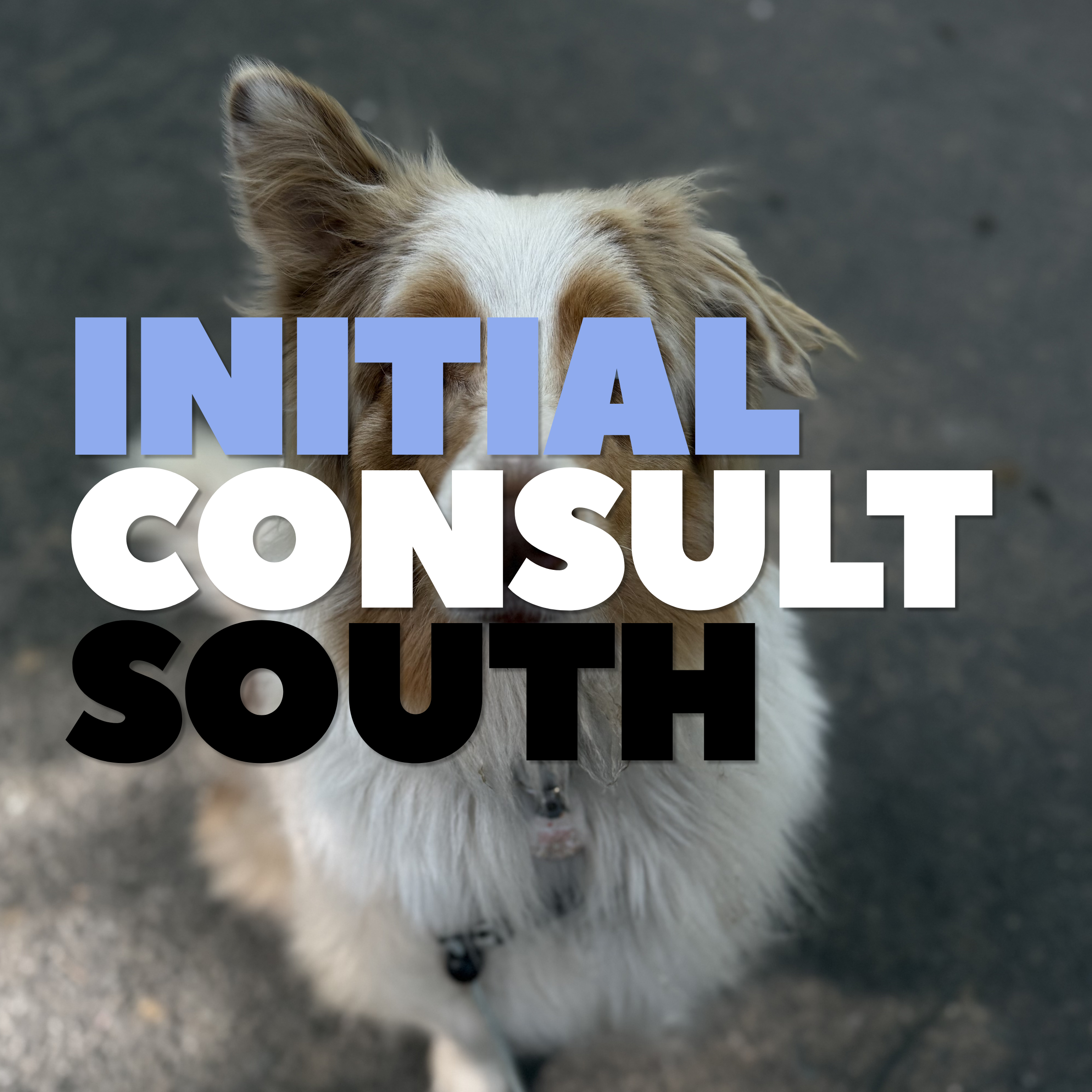 Initial Consultation- South