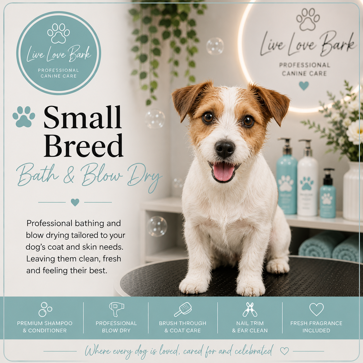 🛁 Bath & Blow Dry (Small)