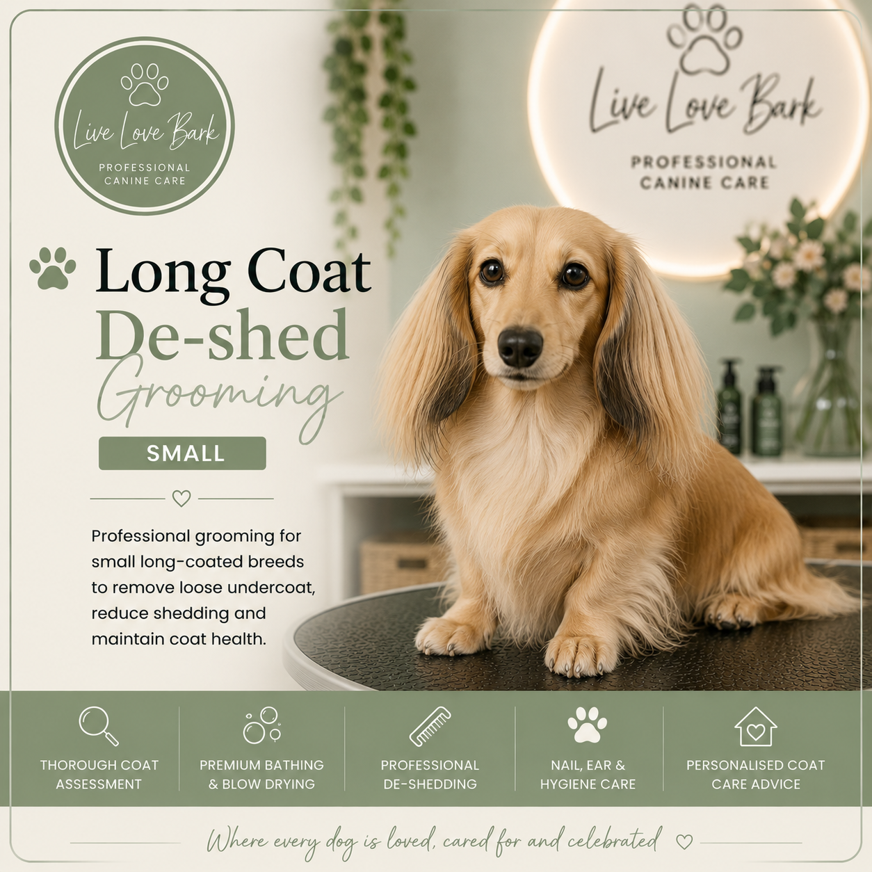🐺 Long Coat De-shed Grooming (Small)