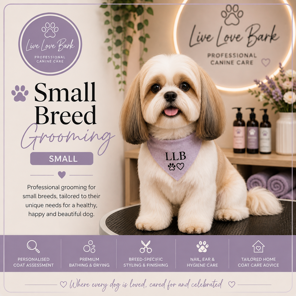 🐶 Small Breed Grooming