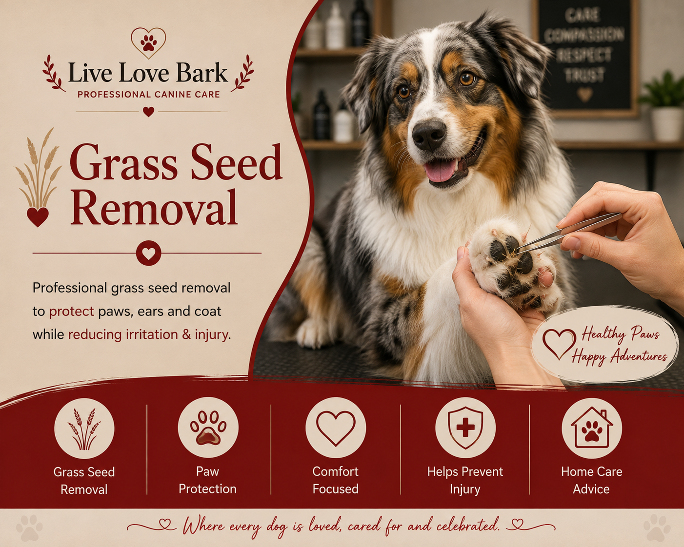 🌾 Grass Seed Removal