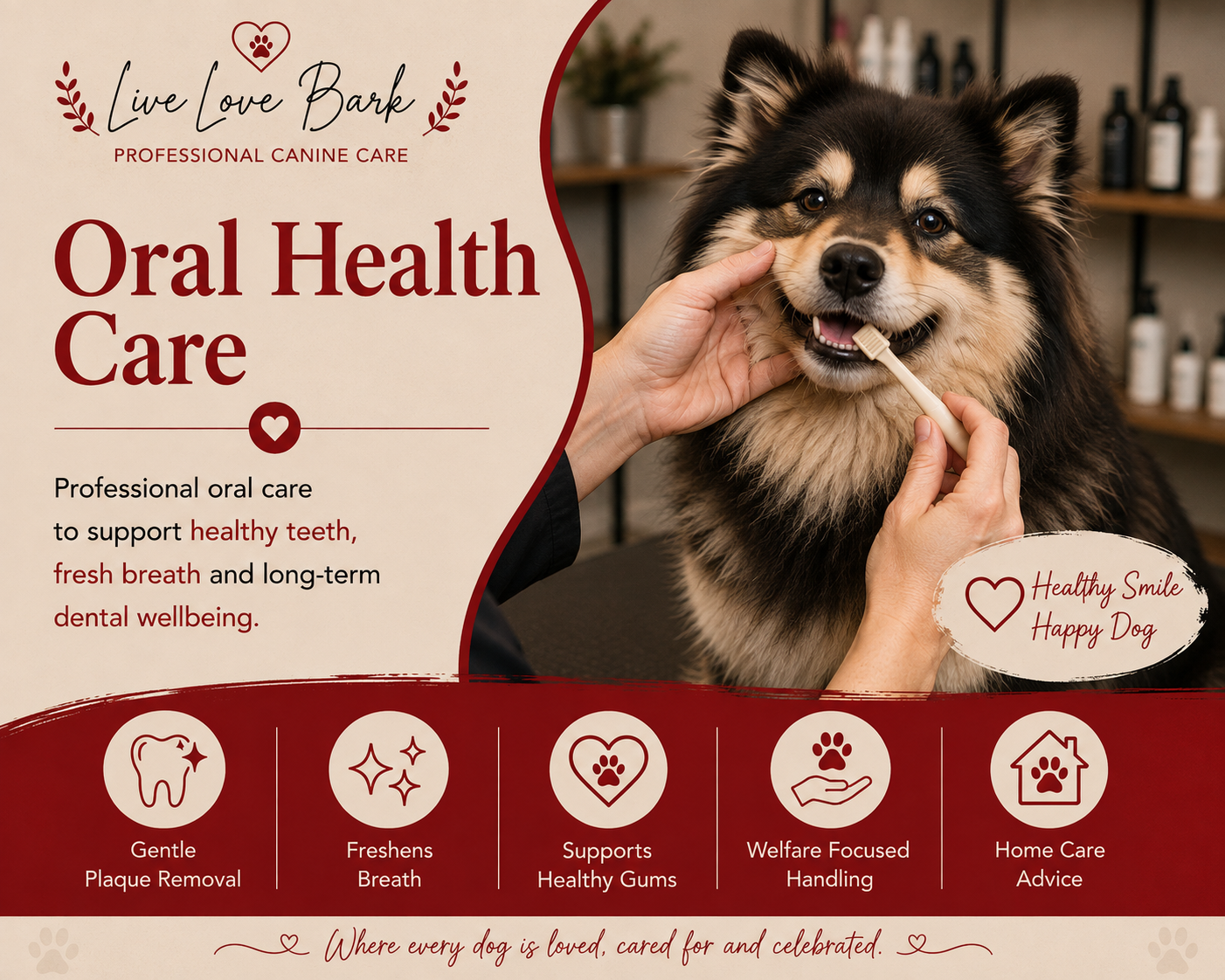 🦷 Oral Health Care