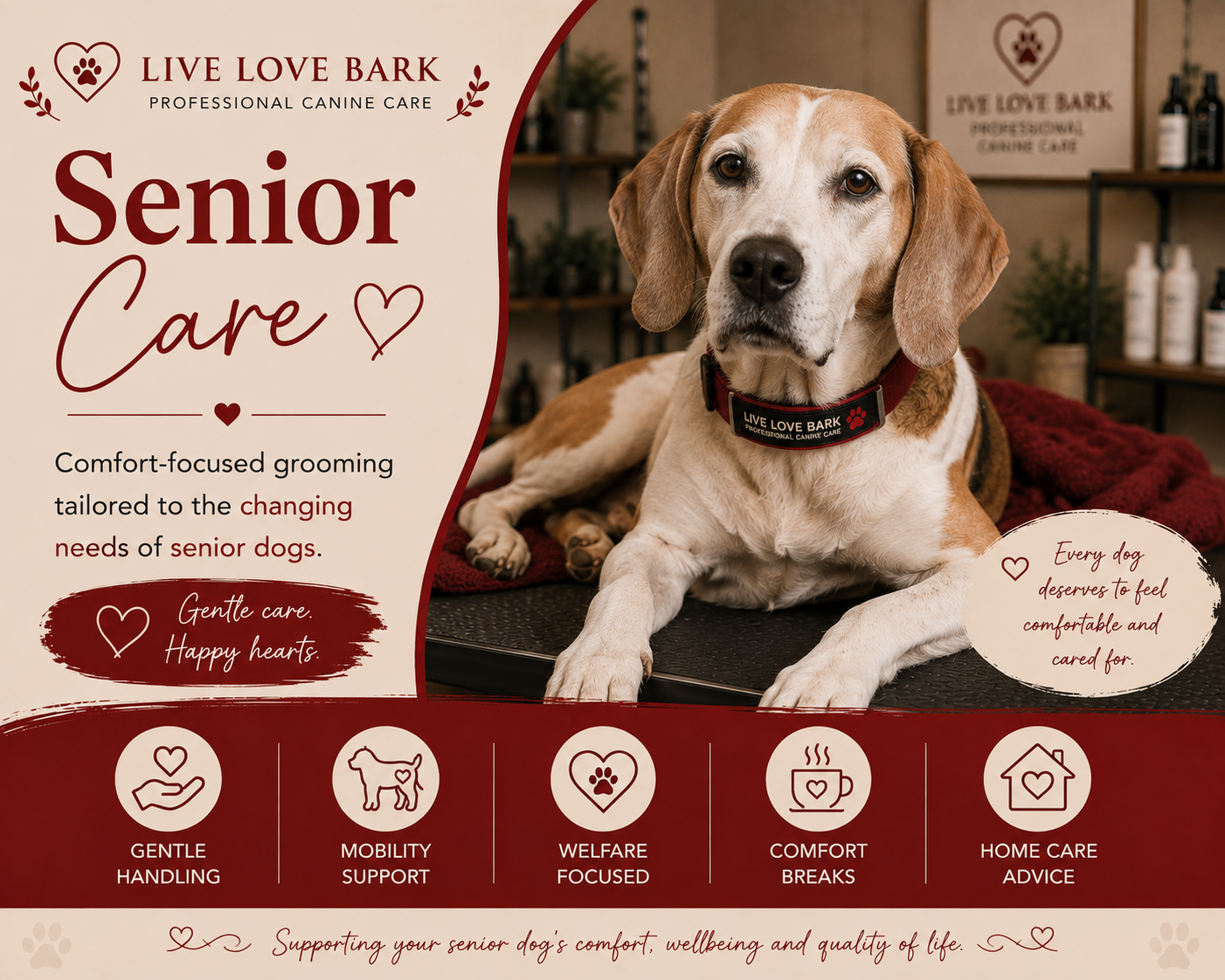 🩶Senior Care