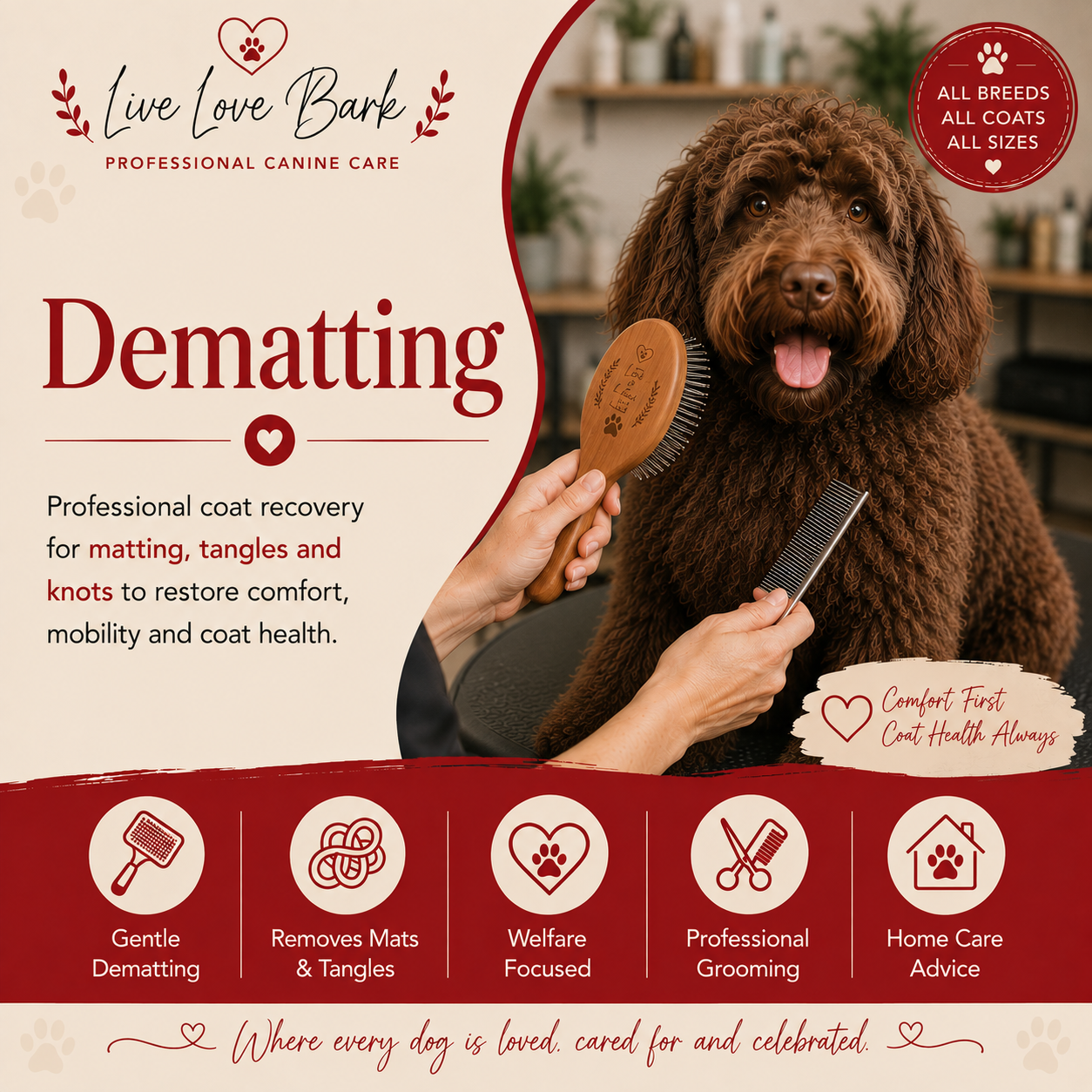 🪮 Dematting