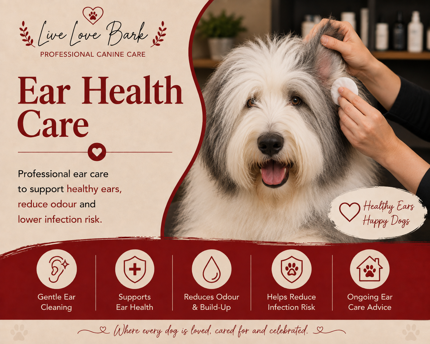 👂 Ear Health Care