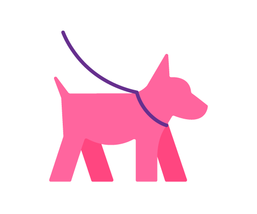 Casual Group Dog Walking