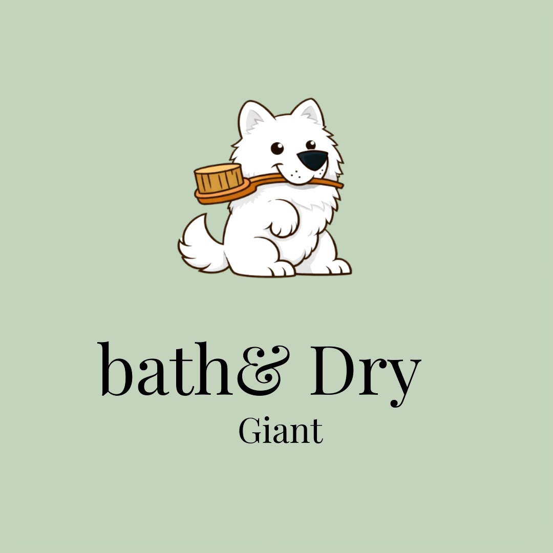 Fluffnbrush pet services