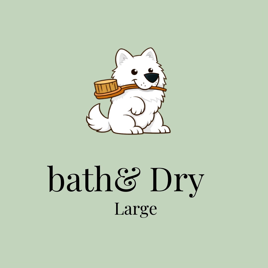 Fluffnbrush pet services