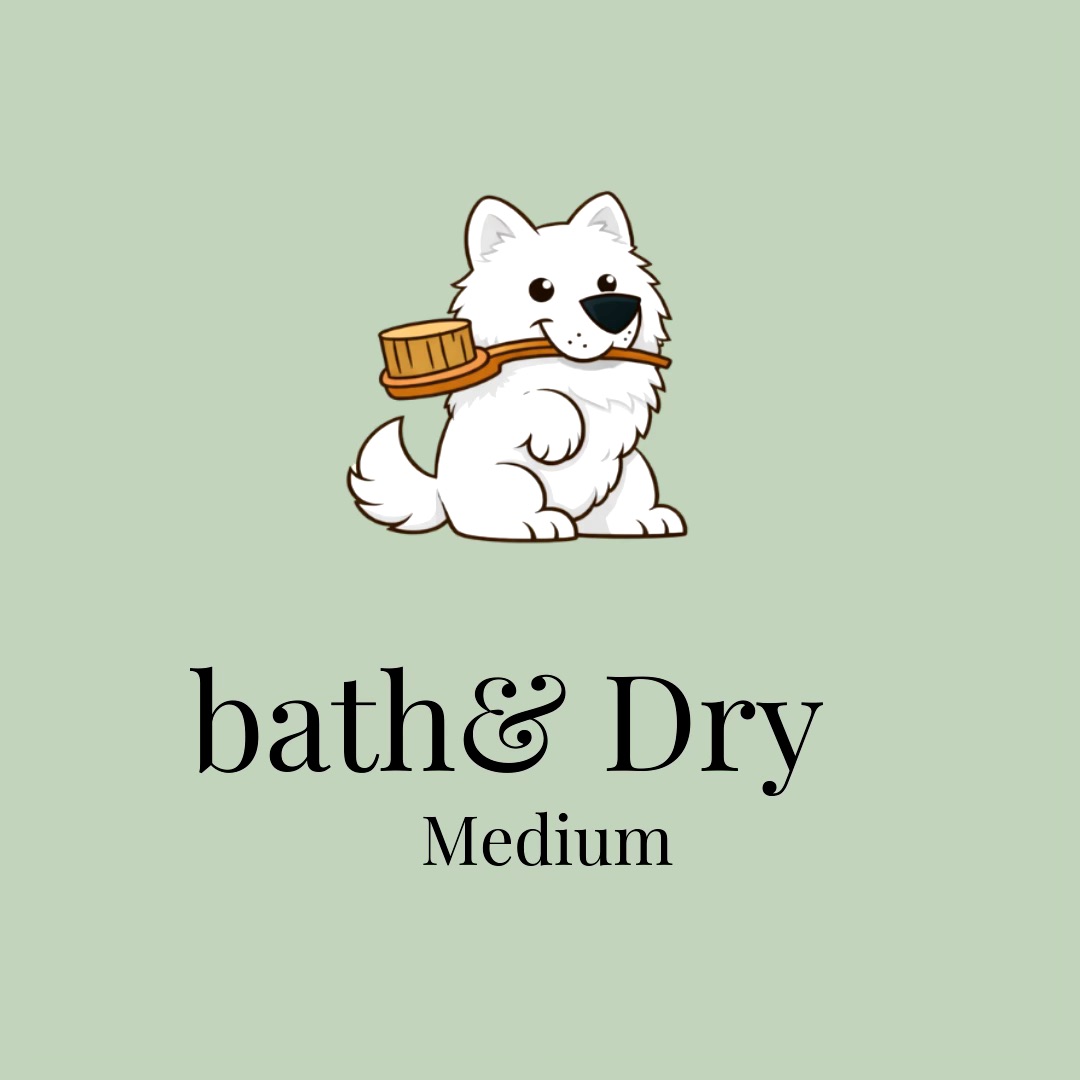 Fluffnbrush pet services