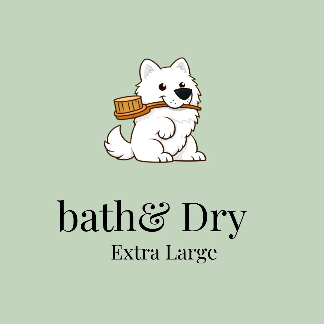 Bath & Blow-Dry: Extra Large