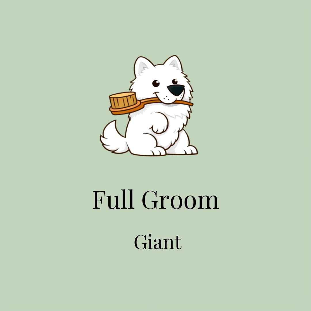Full Groom: Giant